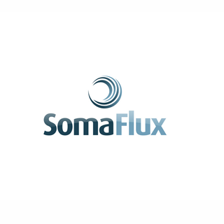 SOMAFLUX-MINICURRICULO Manutenção preventiva estende a vida útil de equipamentos na indústria em até 5 anos - Revista Manutenção
