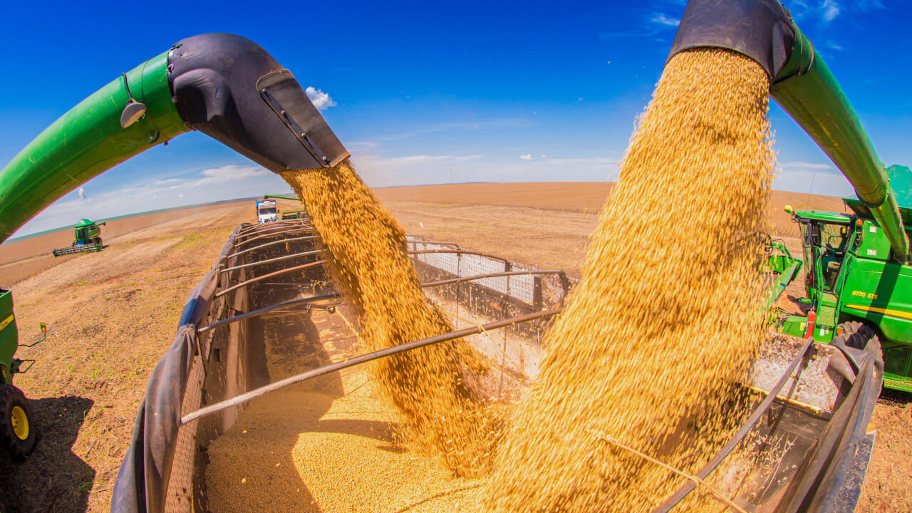 Empresa de grãos e insumos divulgou plano de investimento dos próximos sete anos 