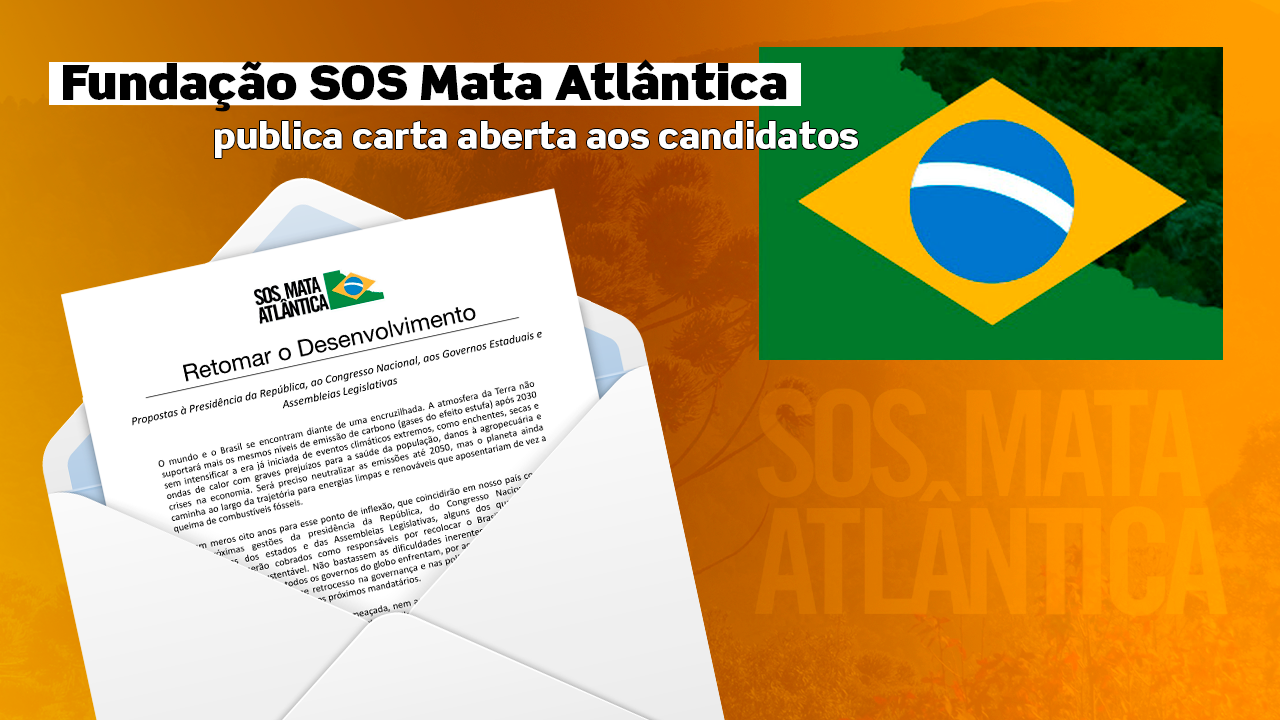carta-sos-mata-atlantica Eleições: SOS Mata Atlântica publica carta aberta aos candidatos - Revista Manutenção