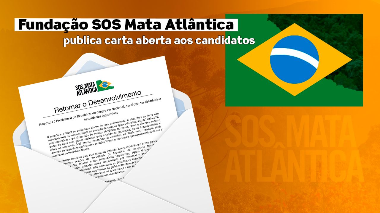 SOS Mata Atlântica